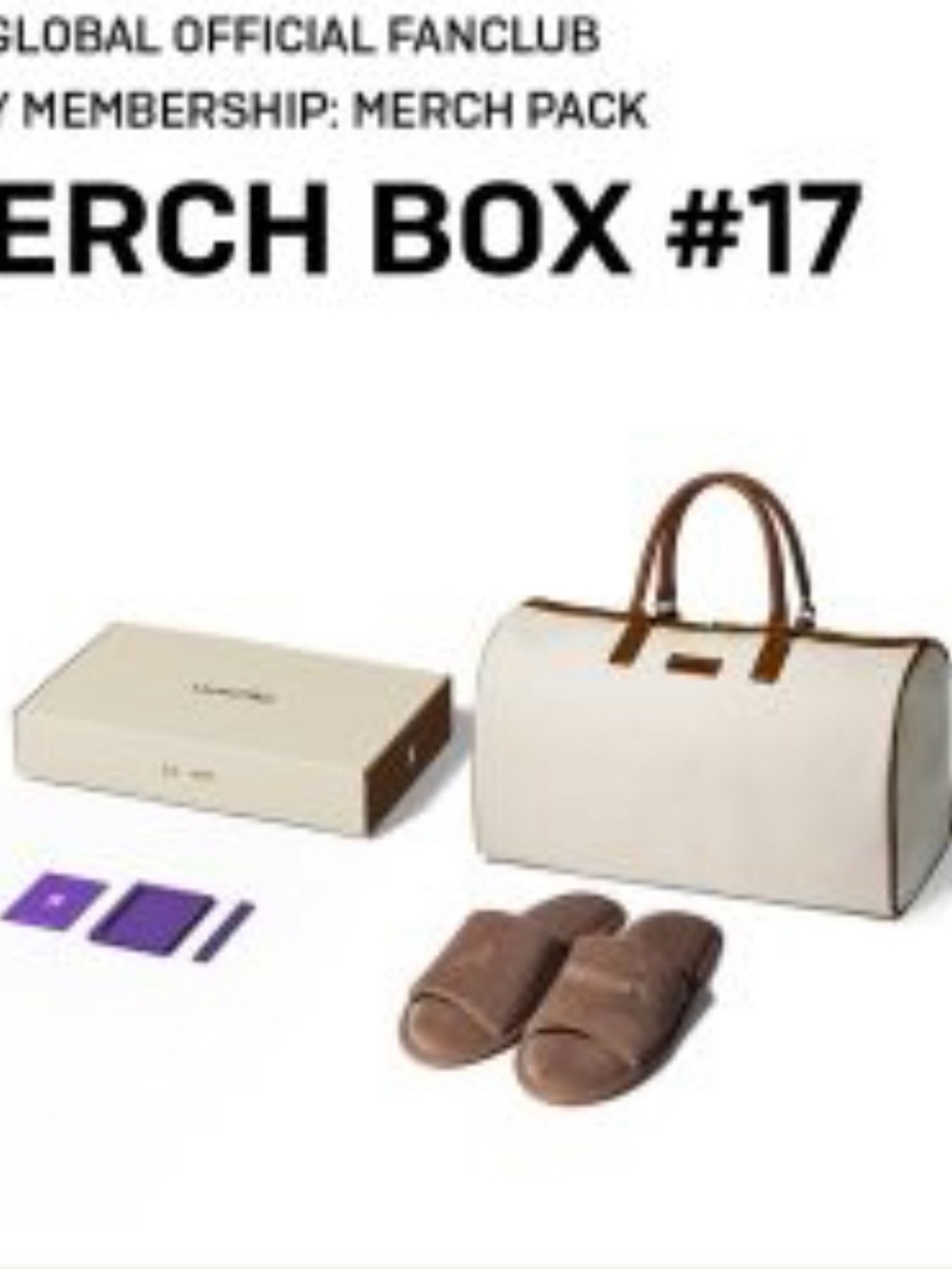 BTS Merch Box#17 V Layover